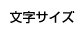 文字サイズ